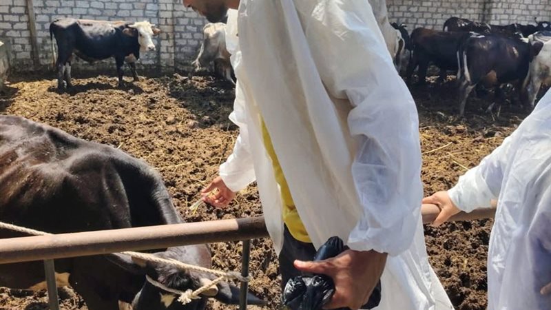 جانب من الحملة