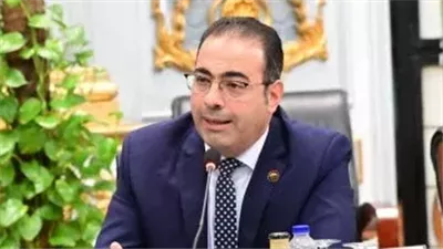 مهنئا الأهلي وبيراميدز.. رئيس شباب النواب: الرياضة المصرية تعيش عصرها الذهبي 