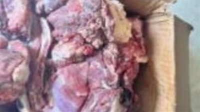 ضبط 121 طن لحوم فاسدة داخل ثلاجة غير مرخصة بالقليوبية