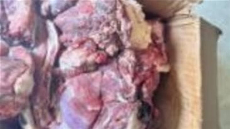 ضبط لحوم مجهولة المصدر