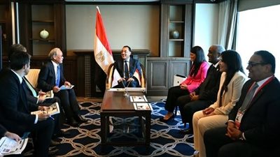 رئيس الوزراء يلتقي الرئيس التنفيذي لمجموعة 