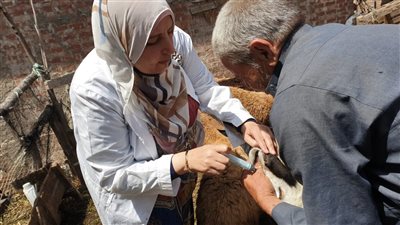 رعاية صحية وورش للأطفال ضمن فعاليات قافلة سكانية شاملة بمحلة الأمير برشيد