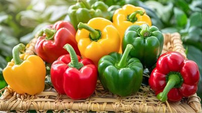 فوائد الفلفل الحلو لصحة الجسم ودعم المناعة والوقاية من الأمراض المزمنة 