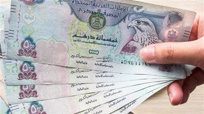 تعرف على اسعار الدرهم الاماراتى فى البنوك المصرية ويسجل 13.20 امام الجنيه 