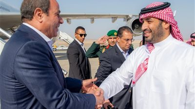 الرئيس السيسي وبن سلمان يؤكدان رفضهما التصعيد الإسرائيلي في غزة والضفة 