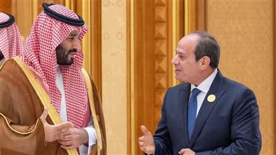 جميل عفيفي: مصر والسعودية على قلب رجل واحد في دعم الدولة الفلسطينية|فيديو 