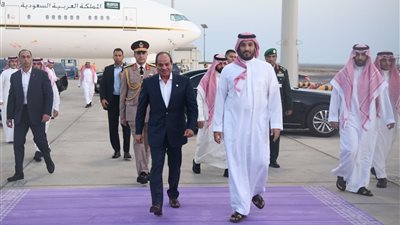 عودة السيسي إلى أرض الوطن عقب زيارة قصيرة للسعودية ولقائه بولي العهد
