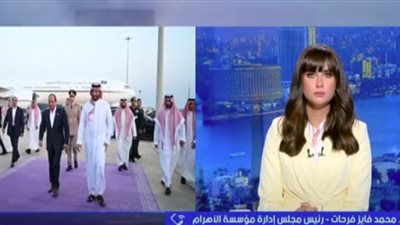 محمد فايز فرحات: قمة السيسي وبن سلمان تؤكد متانة العلاقات المصرية السعودية