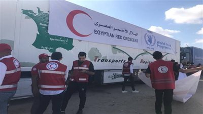 حسام الدين حسين: 70% من المساعدات لغزة عبر الهلال الأحمر المصري |فيديو