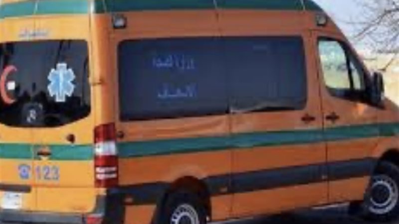 ارشيفية