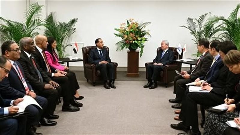 رئيس الوزراء يلتقي