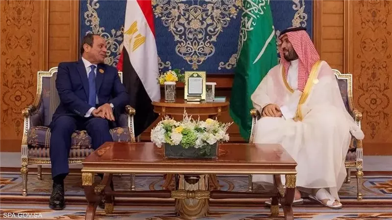 زيارة السيسي
