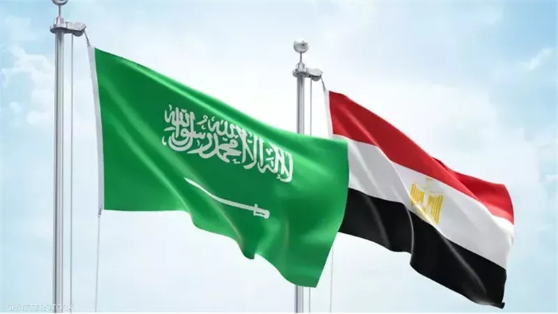 الشراكة المصرية