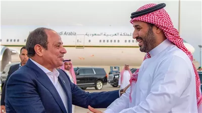 محلل سياسي: التنسيق المصري السعودي يعكس توافقًا كاملًا حول القضية الفلسطينية