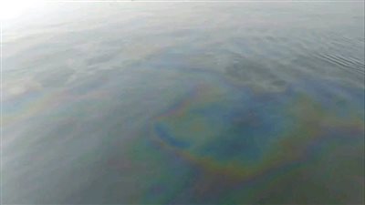 ظهور بقع زيتية قرب محطات مياه الشرب بالأقصر.. والشركة تؤكد سلامة الخدمة