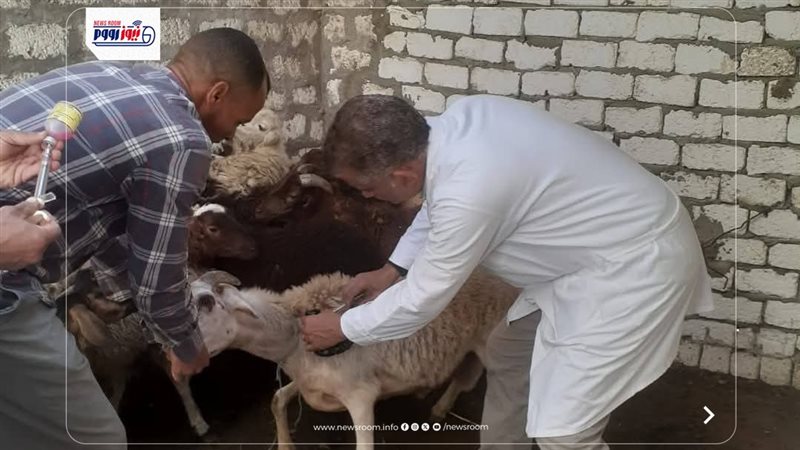 الطب البيطري بالمنيا
