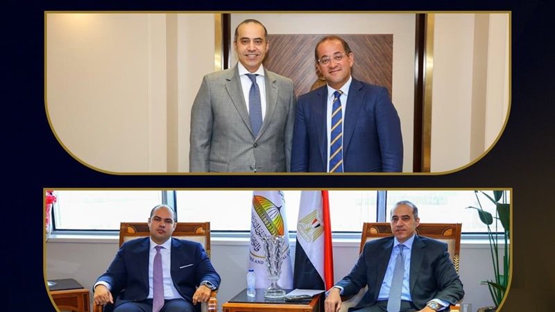 المستشار محمود فوزي