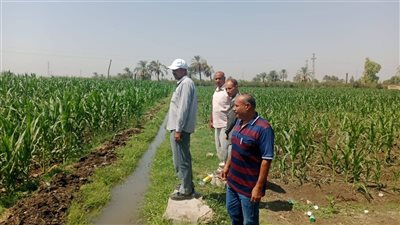 محافظ أسيوط: رفع الوعي الزراعي أولوية لتحقيق التنمية المستدامة