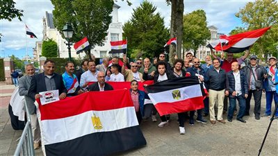 الجاليات المصرية بالخارج تتوحد دعماً للدولة في وجه حملات التحريض