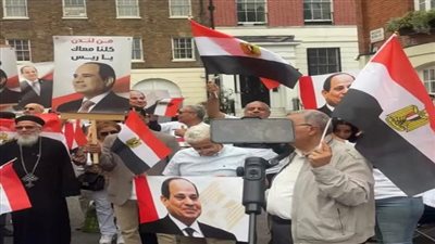 مصطفى رجب: وقفات الجاليات المصرية بأوروبا صفعة لمحاولات تشويه الوطن |فيديو