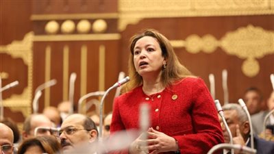 سماء سليمان: خطة مصر لإعادة إعمار غزة تحول لمشروع عربي متكامل |فيديو