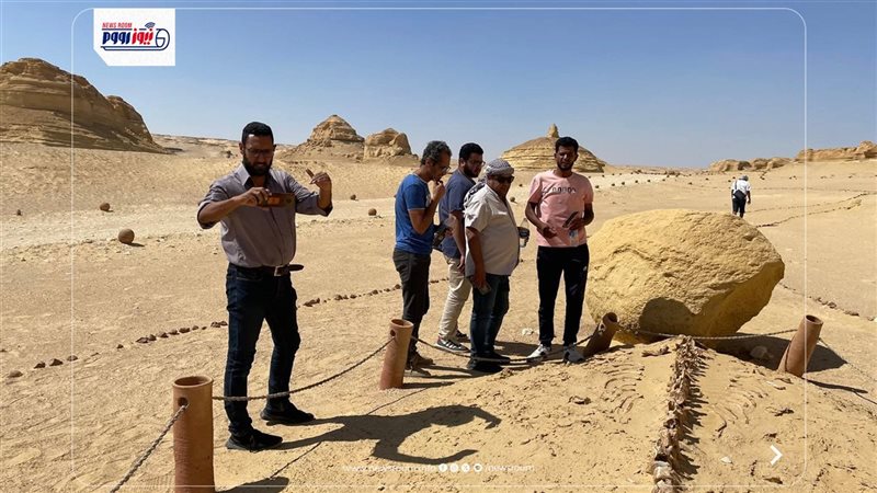 وادى الحيتان بالفيوم