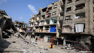 البرلمان الهولندي: المجتمع الدولي مطالب بإنقاذ الفلسطينيين من الإبادة الجماعية