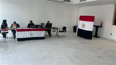 ‎المصريون بالخارج يصوتون فى إعادة الشيوخ بعدد من الدول العربية والإفريقية