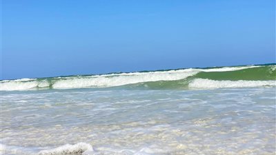 استمرار منع نزول المياه بـ 42 شاطئ بالقطاع الغربي والعجمي لليوم الثالث 