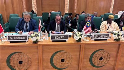 وزير الخارجية: لن نشارك في تهجير الفلسطينيين ولا بديل عن الدولة الفلسطينية