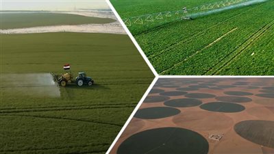 أحمد أبو اليزيد: مشروع الدلتا الجديدة يستهدف استصلاح 2.02 مليون فدان |فيديو 