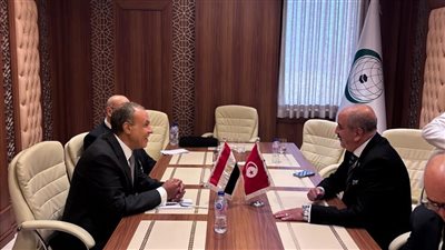 وزيرا خارجية مصر وتونس يبحثان العلاقات الثنائية والتطورات الإقليمية