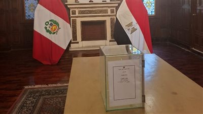 الهيئة الوطنية تعلن نتيجة الإعادة لانتخابات الشيوخ الخميس