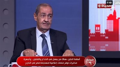 أسامة الدليل: أجهزة مخابرات تدير منصات إعلامية للهجوم على مصر