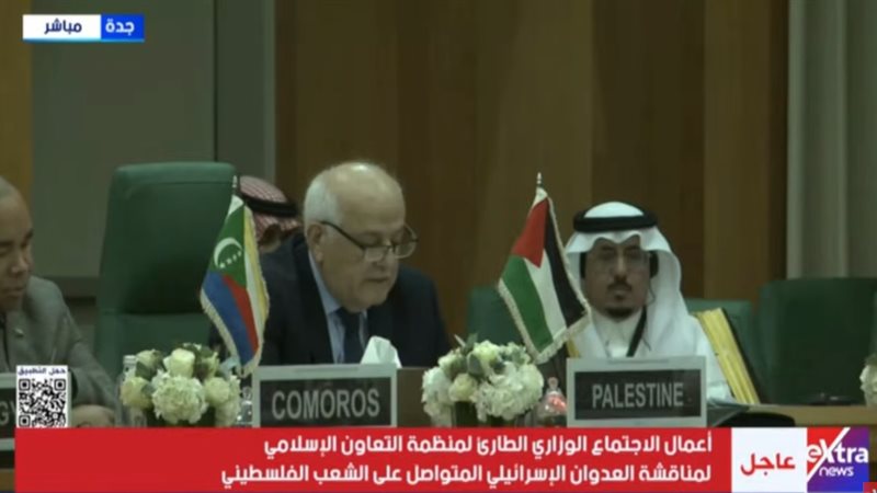 المندوب الفلسطيني