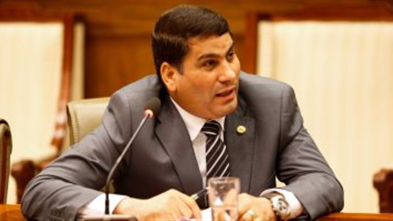 النائب الدكتور على