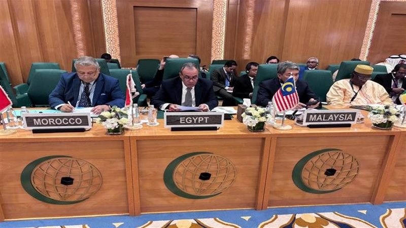 وزير الخارجية المصري