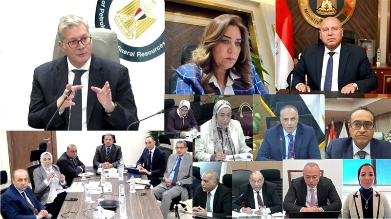 وزير البترول يترأس