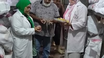 وزارة التموين: ضبط 3.5 طن دواجن غير صالحة في حملة بالشرقية