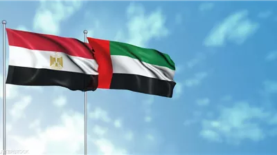 جميل عفيفي: الإمارات ومصر شريكان في مواجهة التحديات الإقليمية|فيديو 