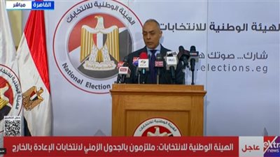 الهيئة الوطنية: ملتزمون بالجدول الزمني لانتخابات الإعادة بالخارج