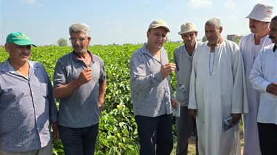 ندوة إرشادية بمدرية الزراعة مع معهد بحوث القطن لمحصول القطن بمركز الدلنجات