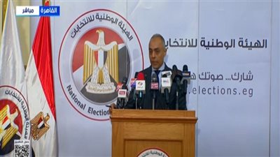 أحمد بنداري: جاهزية السفارات لاستقبال الناخبين وسط إجراءات مؤمنة 