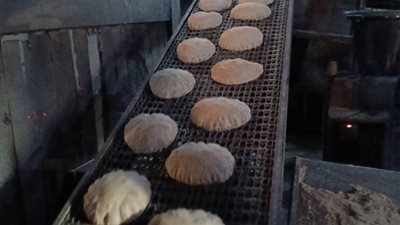 تموين البحيرة: ضبط 3 مخابز تصرفت في 22 شيكارة دقيق بلدي مدعّم