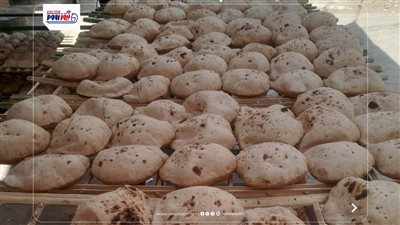 ضبط 244 مخالفة تموينية متنوعة خلال حملات مكثفة بالمنيا