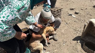 استمرار تنفيذ أعمال استراتيجية