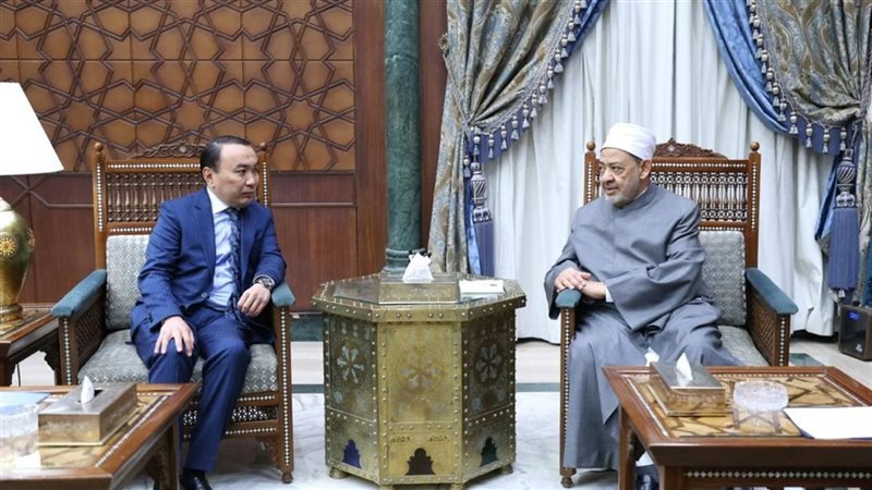 شيخ الأزهر وسفير