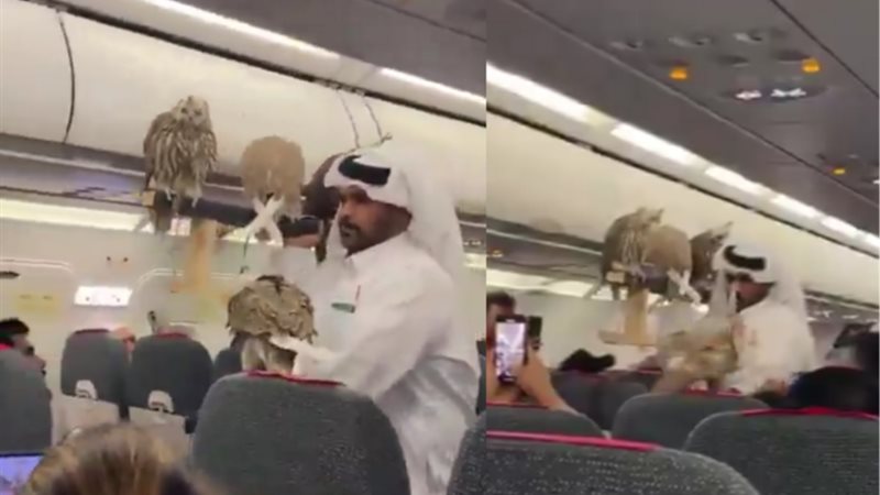 صورة من الفيديو المتداول