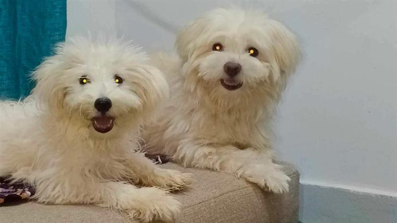 الحب والوفاء سمة