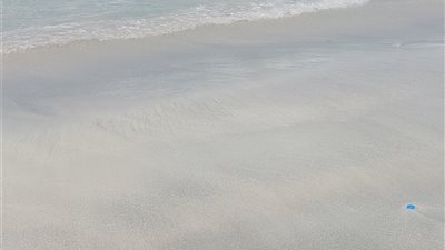 الإسكندرية تعيد فتح الشواطئ الأربعاء مع استمرار رفع الراية الحمراء